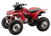 Honda TRX300EX